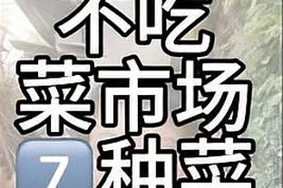 沃勒尔确认：德国将在明年3月同法国、荷兰进行友谊赛